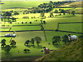 NY7322 : Sunshine and sheep, Murton Pike by Karl and Ali