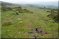 SX6761 : Bridleway at Merrifield Plantation by Graham Horn