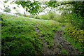 SX6861 : Bridleway past Overbrent Woods by Graham Horn