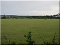 TL7587 : Weeting Heath nature reserve by Hugh Venables