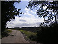 TM3385 : Footpath & entrance to Low Farm by Geographer