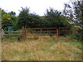 TM3775 : Salters Lane Bridleway & Pumping Station by Geographer