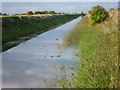 TF1623 : South Forty Foot Drain at Morton Fen by Marathon