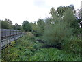 TL3810 : Rye Meads Nature Reserve by PAUL FARMER