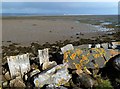 NH7882 : Tidal sands at Tain by Walter Baxter