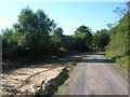 SN3802 : Wales Coast Path in Pembrey Forest by Simon Mortimer