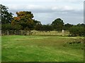  : Small fenced field, east of Riddings Farm by Christine Johnstone