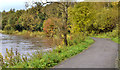 J3470 : Autumn colours, Lagan towpath, Belfast by Albert Bridge