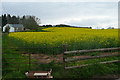 SO3711 : Oil seed rape north of Llanarth by Graham Horn