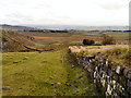 NY7567 : Hadrian's Wall near Steel Rigg by David Dixon