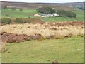 NZ6408 : The steeper northern slopes of Kildale Moor by Christine Johnstone