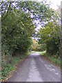 TM4072 : Looking towards the A144 Halesworth Road by Geographer