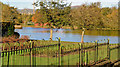 J3675 : Old fence, Victoria Park, Belfast by Albert Bridge