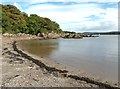 NX6548 : High tide in Nun Mill Bay by Ann Cook