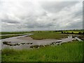 NZ5025 : Upper end of Greatham Creek by Robert Graham