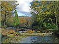 SO1408 : Water feature, Bedwellty Park by Robin Drayton