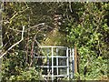 ST9979 : Kissing gate at the end of footpath from Bradenham by David Smith