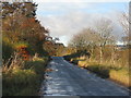 NT5346 : Autumn lane near Lauder by M J Richardson