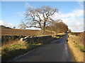 NT5445 : A view from Milsieburn Bridge by M J Richardson