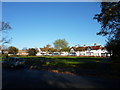 SJ3385 : Houses, Port Sunlight by Peter Barr