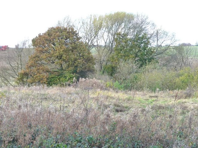 Autumn colour at the issues, South Moor