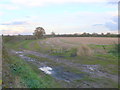 SP2353 : Stubble Field at The Crofts by Nigel Mykura