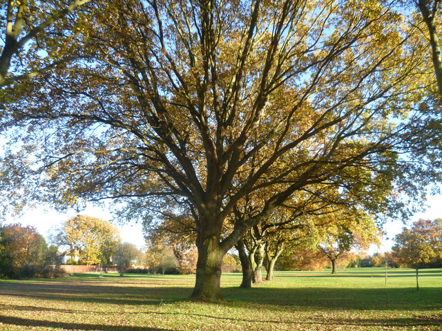 Malden Golf Course in autumn