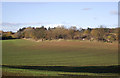 SO8392 : Crop field near Halfpenny Green, Staffordshire by Roger  D Kidd