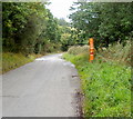 SO3523 : Emergency telephone near Little Goytre by Jaggery