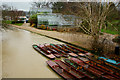 SP5206 : Punts on the River Cherwell, Oxford by Peter Trimming