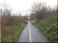 NZ4719 : Cycle track and the A19 viaduct by Jonathan Thacker