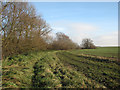 TL4154 : Path beside Bourn Brook by John Sutton