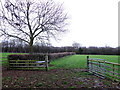 SP3860 : Field Gate near Harbury by Nigel Mykura