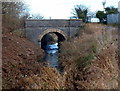 ST1469 : Former railway bridge over the Cadoxton River near Barry by Jaggery