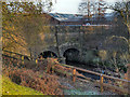 SJ9398 : River Tame, Dukinfield Aqueduct by David Dixon