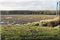 SK8587 : Start of Footpath to Upton Grove Farm by J.Hannan-Briggs