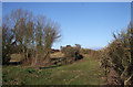 SU1696 : Green Lane Bridge over Thames & Severn Canal by Vieve Forward