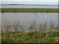 TL4988 : Totally flooded - The Ouse Washes near Pymoor by Richard Humphrey