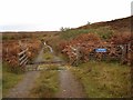 NG8594 : Cattle grid in the track by Richard Dorrell