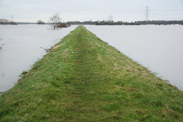 Trent floodbank