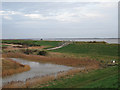 TL9108 : Seawall,  Borrow Dyke and Floodgate by Roger Jones