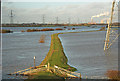 SK8171 : Trent floodbank by Richard Croft