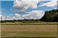 TL3701 : Across to Waltham Marsh by Ian Capper