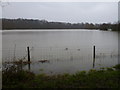 TL1498 : Flooded water meadow by Richard Humphrey