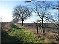 SE3831 : Waymark on the footpath to Hollinthorpe by Christine Johnstone