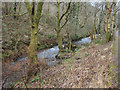 SS9088 : The Afon Garw in woodland between Tylagwyn and Pont-y-rhyl by eswales