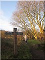 NZ8909 : Path junction near Whitby by Derek Harper