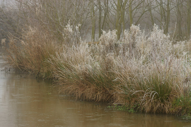 Winter at the British Wildlife Centre, Newchapel, Surrey