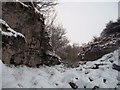 SK1666 : Snow Scene in Lathkill Dale by Jonathan Clitheroe