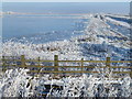 TL5392 : Frozen washland - The Ouse Washes near Welney by Richard Humphrey